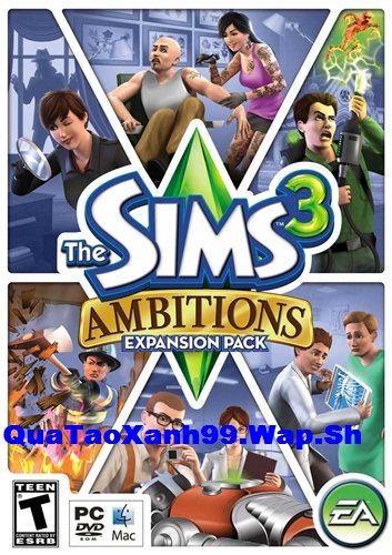 The Sims 3 Ambitions 1